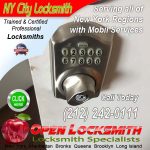 Locksmith 10010